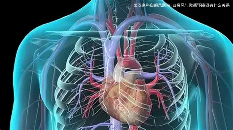 1145-武汉京科白癜风医院：白癜风与微循环障碍有什么关系1.jpg