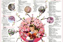 济南的春天：讲讲那些花的故事
