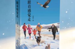 《跟着感觉走》都写了些什么