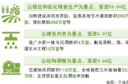 山东省筹资31.54亿元推进农业高质量发展 突出质量兴农绿色兴农