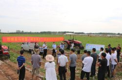 郯城县马铃薯“两全两高”机械化生产现场在高峰头镇召开