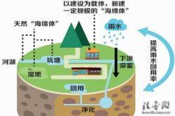 阳信：发展雨水集蓄利用工程 打造全国”海绵第一县”