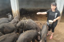淄川：农家女变身新型职业农民