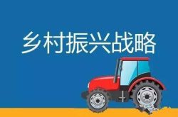 打造乡村振兴齐鲁样板 山东建设50个“新六产”示范县