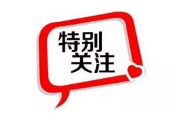 山东完成首个《蔬菜标准体系建设指南》地方标准