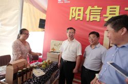 阳信：县长卖梨成佳话
