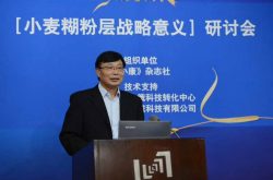 “小麦糊粉层战略意义”研讨会在北京举行 阳信小麦糊粉层万吨级产业化示范厂引关注