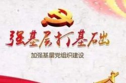 微山县赵庙镇创新模式提升党组织凝聚力