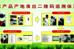 品牌战略引领安丘乡村振兴