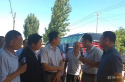 宁阳县蒋集镇：统筹规划打造万亩经济林基地