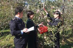青州市市场监管局指导金果果果蔬专业合作社打造现代田园经济模式