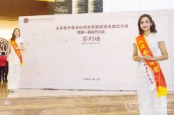 山东省齐鲁文化传承发展促进会成立 全球城市形象大使空降现场