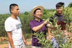 两本绿本本“变现”500万  宁阳县发放全泰安首笔农村土地经营权抵押贷款