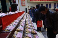 首届绿旺达中国山东（安丘）大姜文化节举办