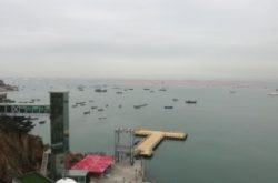5G元年看移动 山东移动5G海洋牧场投入使用