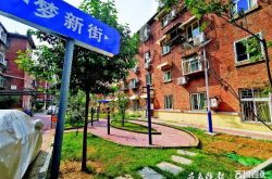 济南拆违拆临三年:小区没了违建 多了绿地花园