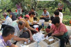 阳信：获评中国小产区认定与保护试验示范基地