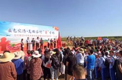 日照市东港区后村镇2019年农民丰收节暨大后村村甘薯节开幕