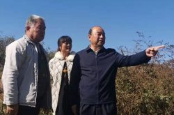 乡村振兴服务队长清区1队到五峰山街道纸坊村进行实地调研