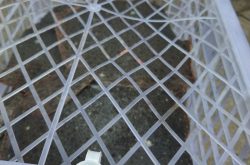 潍坊创新开展活鱼追溯试点建设工作
