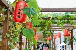 费县新刘庄：葡萄园里走出脱贫幸福路