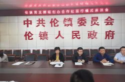 伦镇实施“融合党建”工程 “三三制”三农服务大网格”成为带民致富新引擎