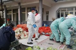 淄川区龙泉镇：复工稳推进 春耕抢农时