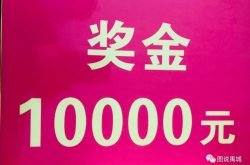 辣害，一篇短文竟然拿到了万元大奖！
