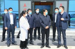 山东省委副书记杨东奇到鲁南制药集团新时代药业调研