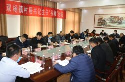 从全市首创村书记“头雁论坛”到“青年榜样”的后备人才培育；从“四积分两处理”党员管理到“三亮三员六带头”党群联动； 从助力乡村振兴到促进脱贫攻坚，山东省淄川区双杨镇 深耕党建“责任田”