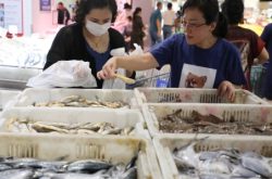 家家悦第二届威海海鲜节启动“鲜活”全国