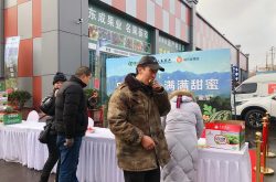 “瓜果飘香 满满甜蜜” 久泰“一包糖西瓜”济南推介会举行