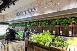 食安济宁:倾力提升人民群众幸福感
