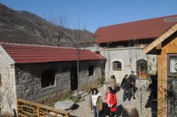 山东淄川：石头房里建起高端民宿 沉闷“石头村”重获新生