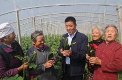 从田野中成长 倾心反哺乡村 山东淄川：“乡村之星”的同心圆 助农增收