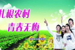 宁阳县堽城镇：大学生村官让“村级文化服务站”火起来