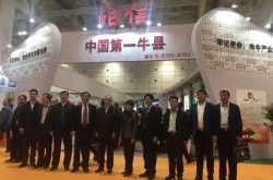阳信：绿色肉牛产业集群入选省“十强”产业集群支持名单