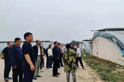 禹城莒镇村支部书记观摩CKSB生态农场