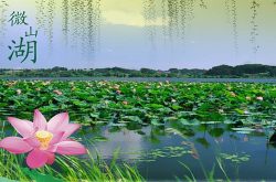 微山县：以“湖”为魂  做活旅游文章
