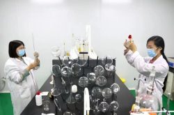 共育“食安之花”——济南平阴打造玫瑰产业“共享实验室”