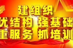 诸城市石桥子镇“项目+党建”模式发挥党员作用