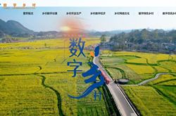 山东移动数智赋能开启乡村振兴新路径