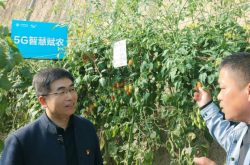 山东移动：“双千兆”春风吹入新农村 打造“数字农村”齐鲁样板