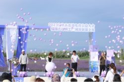 兴边富民 守护花海 2023化妆品直播电商公益大会在新疆举办