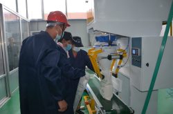 阳信：省派第一书记帮扶建起石磨小麦加工厂