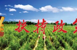 放大财政支农政策效应　破解农业发展融资困境 ——访山东省农业发展信贷担保公司党委书记、董事长宋文旭