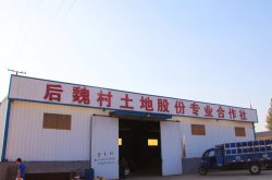 乐陵市化楼镇：“生态粮仓”迎来丰收季