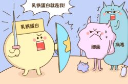 一起来看乳铁蛋白奶粉有哪些,谁能助力宝宝健康成长