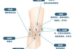 氨糖哪个牌子的效果好，2026用的氨糖？氨糖+软骨素，强效护膝不刺激