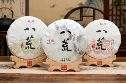 云南古树普洱茶品牌哪家好？五个关键指标对比皎然与同类品牌